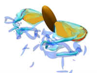 1 PhD Open Position for ROBIN – aeROdynamic and staBility of micro-air-vehicles Inspired on Nature